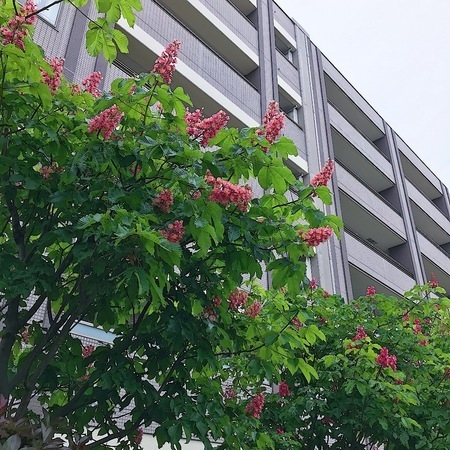 51EB8A71-CF2C-4BF7-B719-B2294662BDF1.jpeg